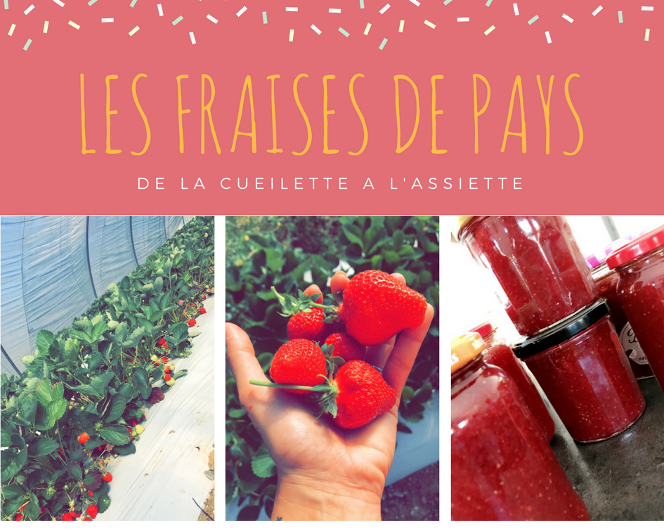 LES FRAISES DE PAYS